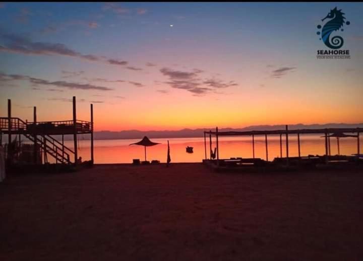 Hotel Sea Horse Nuweiba` Zewnętrze zdjęcie