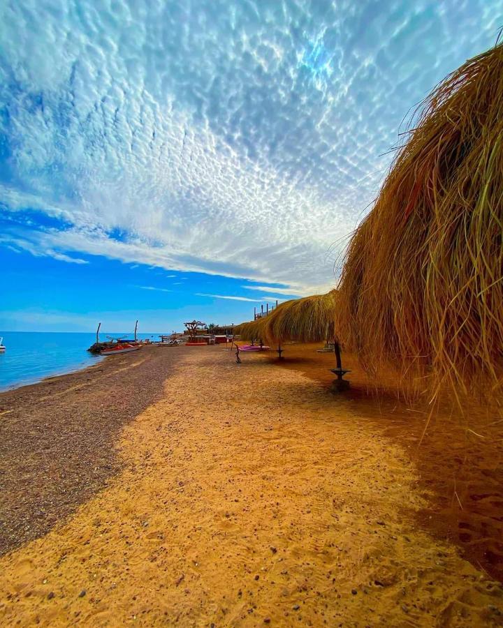 Hotel Sea Horse Nuweiba` Zewnętrze zdjęcie