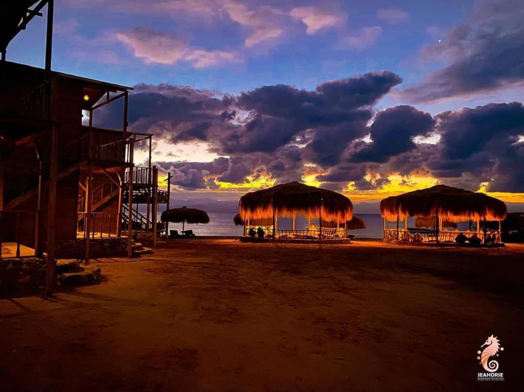 Hotel Sea Horse Nuweiba` Zewnętrze zdjęcie