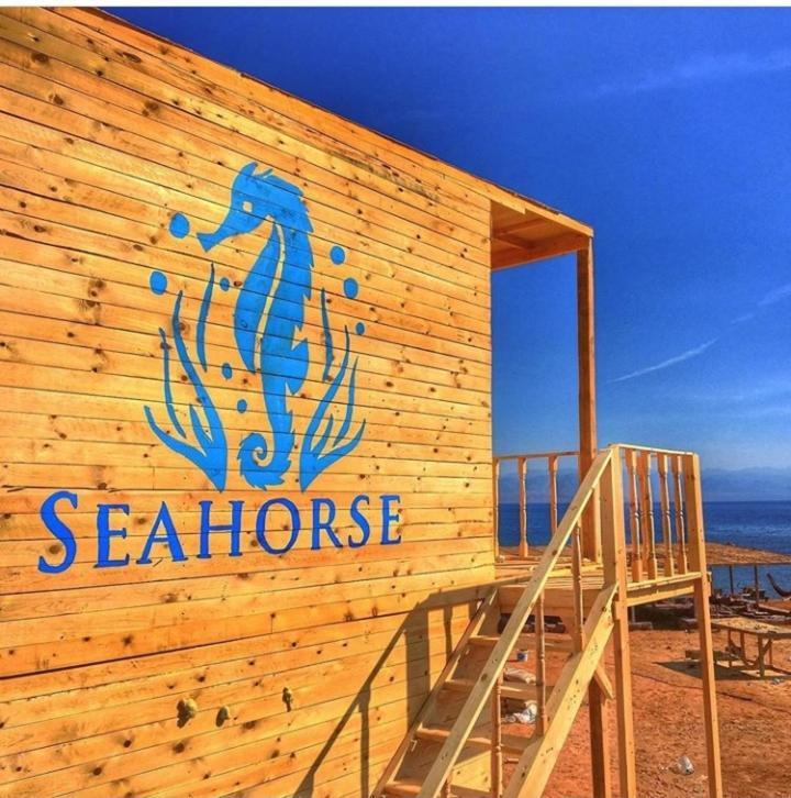 Hotel Sea Horse Nuweiba` Zewnętrze zdjęcie